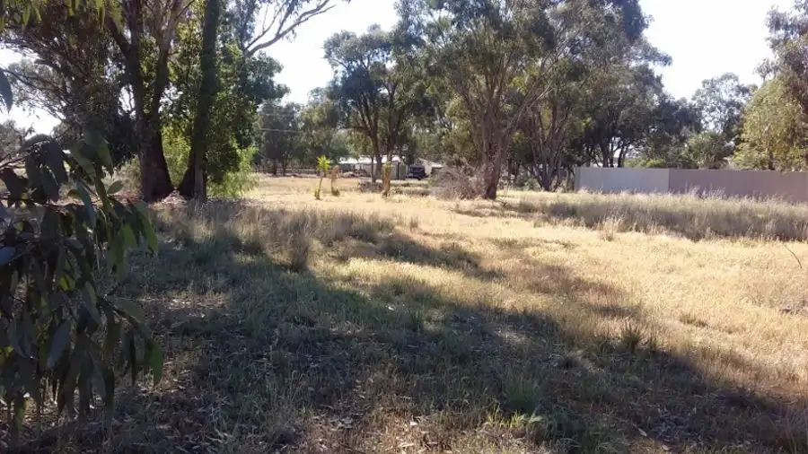 Main view of Homely land listing, 176 Jerilderie St, Berrigan NSW 2712