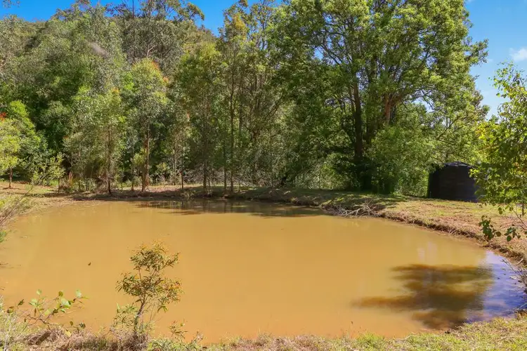 Seventh view of Homely rural property listing, 377 Ravensdale Road, Ravensdale NSW 2259