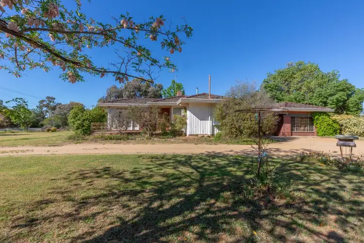Main view of Homely house listing, 26 Third Avenue, Henty NSW 2658