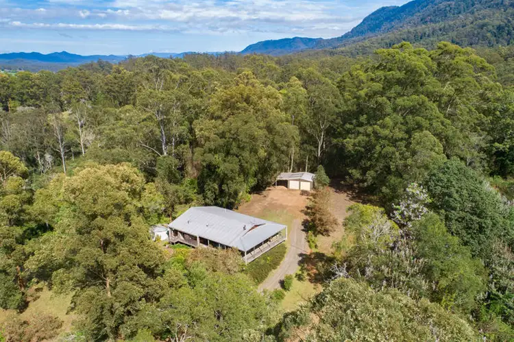 542 Gordonville Road, Bellingen NSW 2454