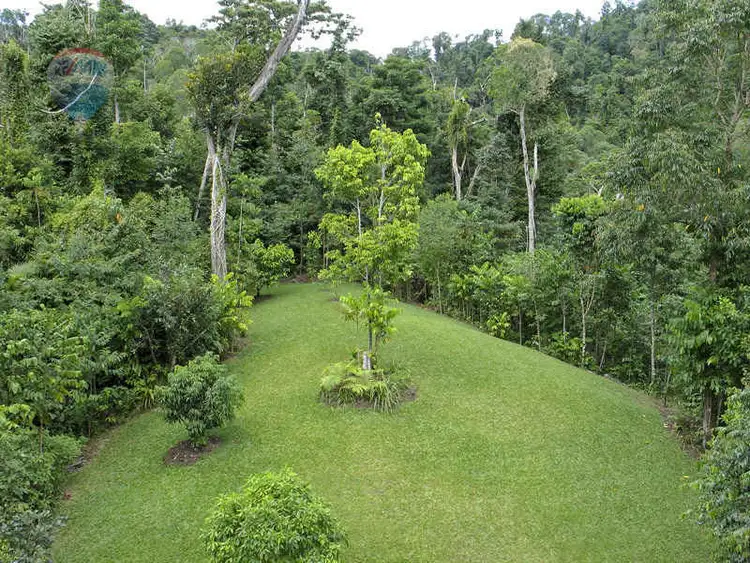 Second view of Homely rural property listing, 431 Woopen Creek Road, Woopen Creek QLD 4871