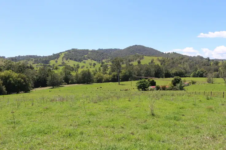 Second view of Homely rural property listing, 38 Little Run Road, Wherrol Flat NSW 2429