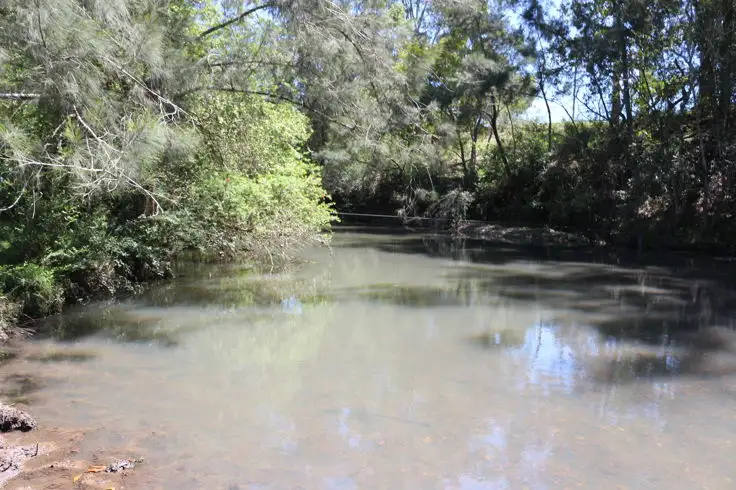 Fourth view of Homely rural property listing, 38 Little Run Road, Wherrol Flat NSW 2429