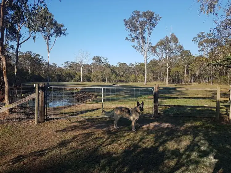 Second view of Homely rural property listing, 26 Bugdens Road, Yandaran QLD 4673