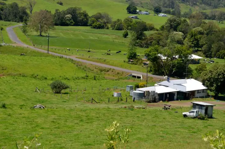 219 *Gradys Creek Road, Kyogle NSW 2474