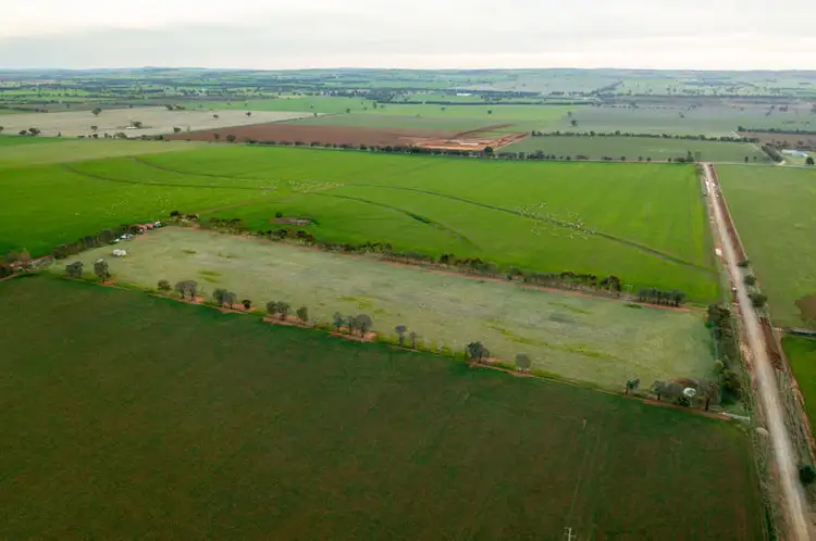 Fifth view of Homely land listing, 375 Roedigers Lane, Junee NSW 2663