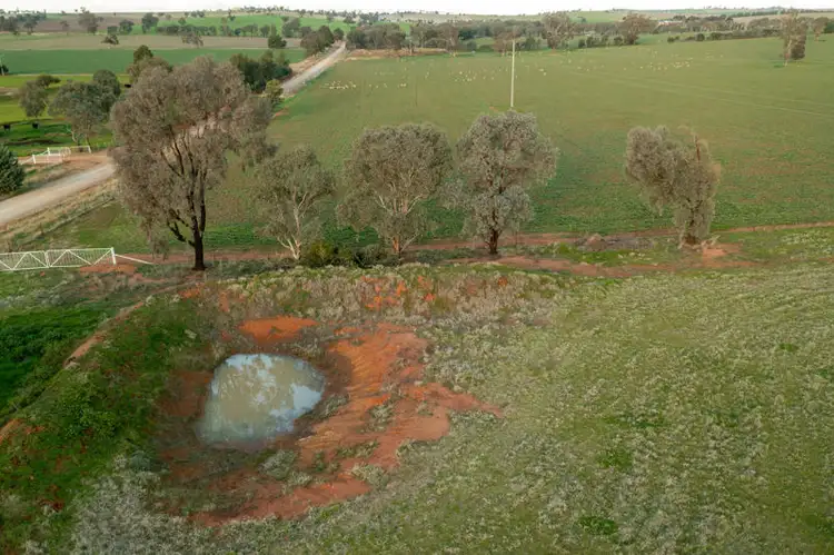 Sixth view of Homely land listing, 375 Roedigers Lane, Junee NSW 2663