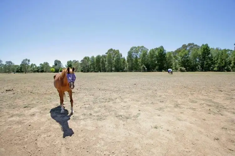 Fifth view of Homely house listing, 5 Elm Road, Wagga Wagga NSW 2650