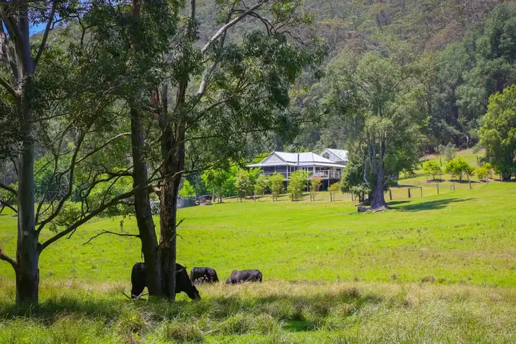Third view of Homely rural property listing, 962 Yarramalong Road, Wyong Creek NSW 2259