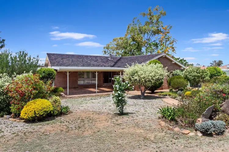 Main view of Homely house listing, 19 Craigends Lane, Tamworth NSW 2340