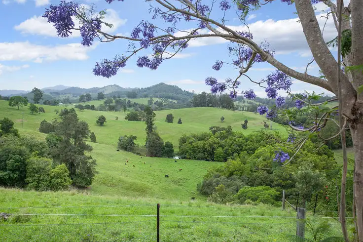 Third view of Homely rural property listing, 534 Mooral Creek Road, Wingham NSW 2429