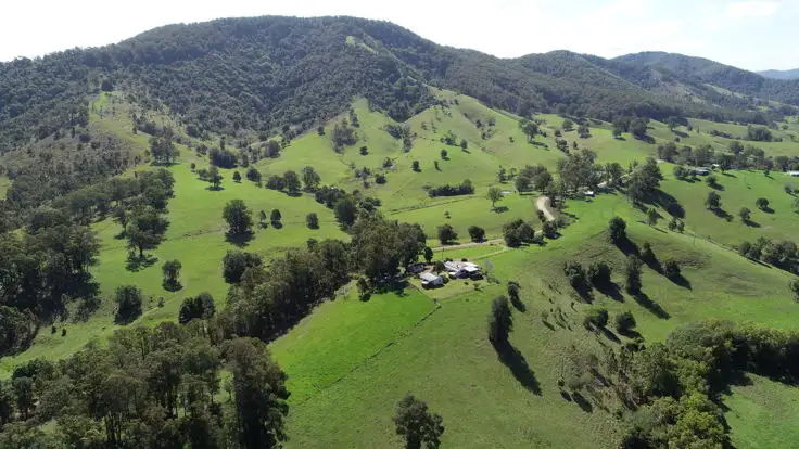 Fifth view of Homely rural property listing, 534 Mooral Creek Road, Wingham NSW 2429