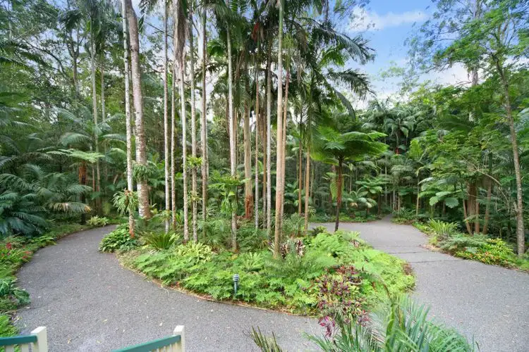 Fourth view of Homely house listing, 45 Mango Vale Court, Diddillibah QLD 4559