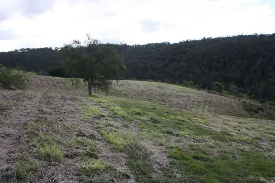 Sixth view of Homely rural property listing, Lot 1 Knitters Road, Blanchview QLD 4352