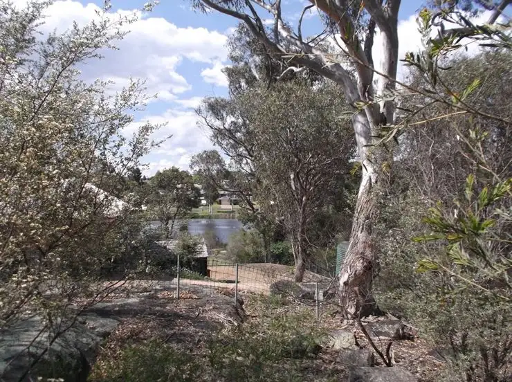 Sixth view of Homely house listing, 31 Granite Street, Stanthorpe QLD 4380