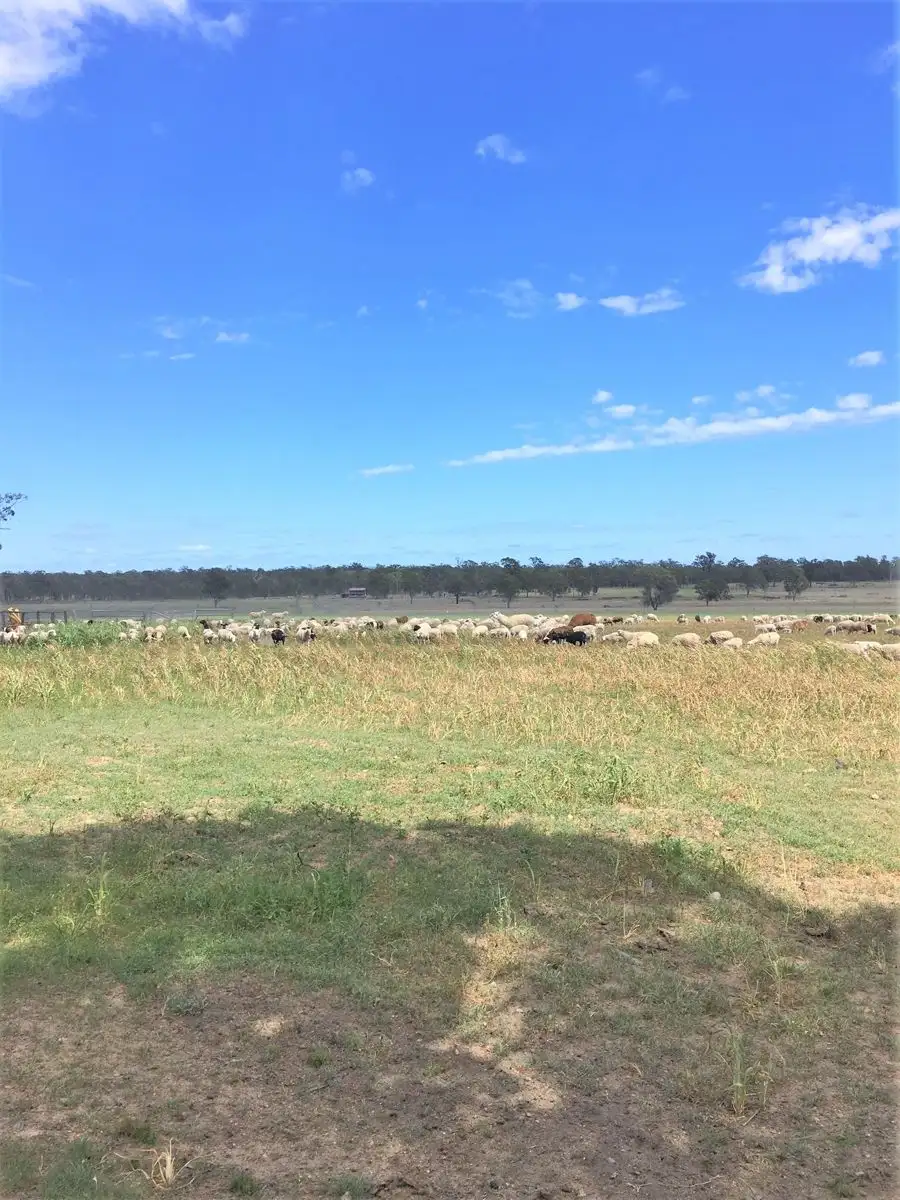 Main view of Homely rural property listing, 176 Spiers Creek Road, Stonehenge QLD 4357