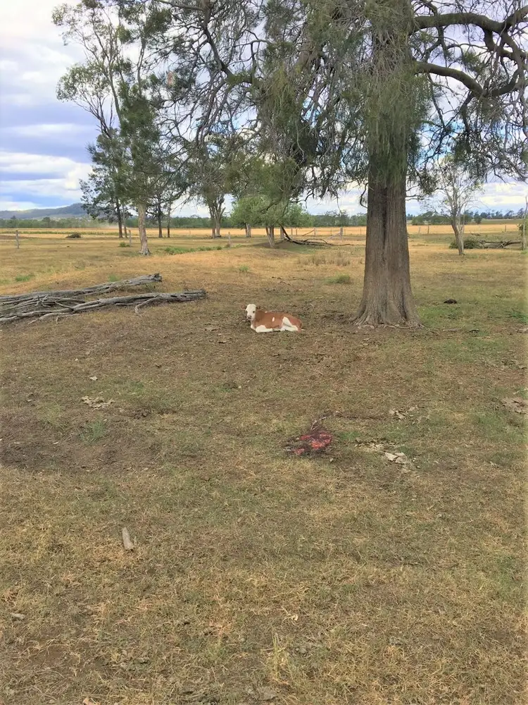 Third view of Homely rural property listing, 176 Spiers Creek Road, Stonehenge QLD 4357