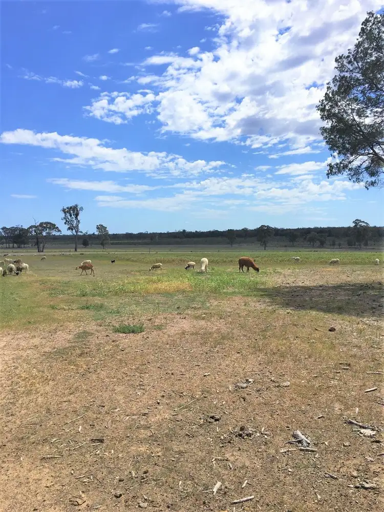 Fourth view of Homely rural property listing, 176 Spiers Creek Road, Stonehenge QLD 4357