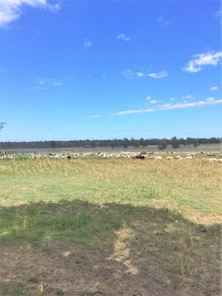 Seventh view of Homely rural property listing, 176 Spiers Creek Road, Stonehenge QLD 4357