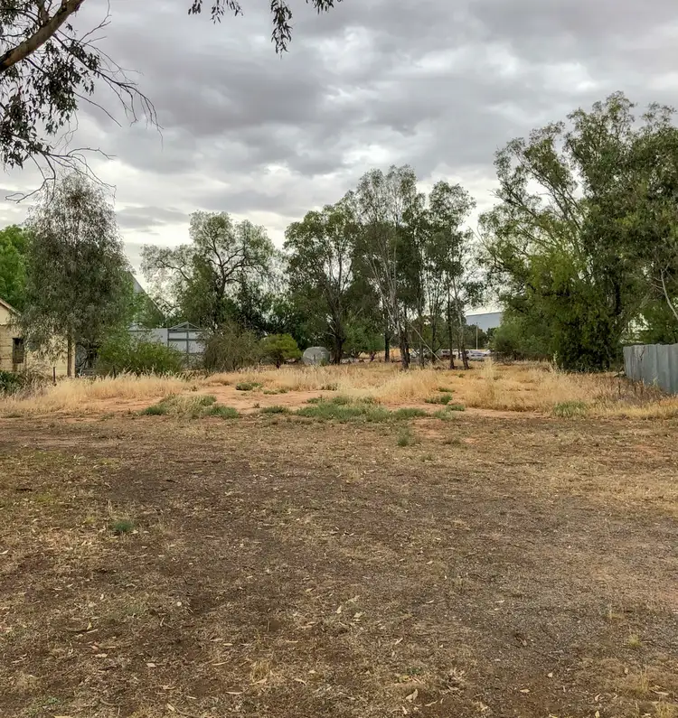 8 Kooba St, Rand NSW 2642