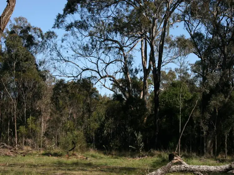 Fifth view of Homely land listing, Kleinton, Highfields QLD 4352