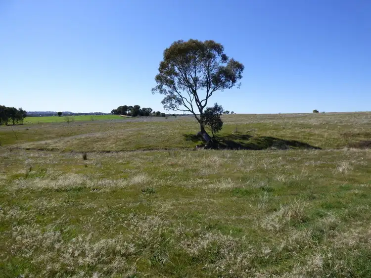 Lot 5 Wickham Lane, Young NSW 2594