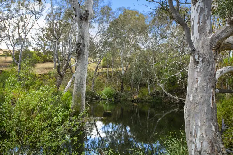 Sixth view of Homely rural property listing, 144 Robertson Road, Lethbridge VIC 3332