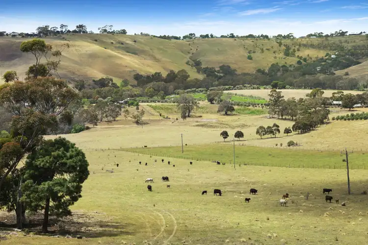 Seventh view of Homely rural property listing, 144 Robertson Road, Lethbridge VIC 3332