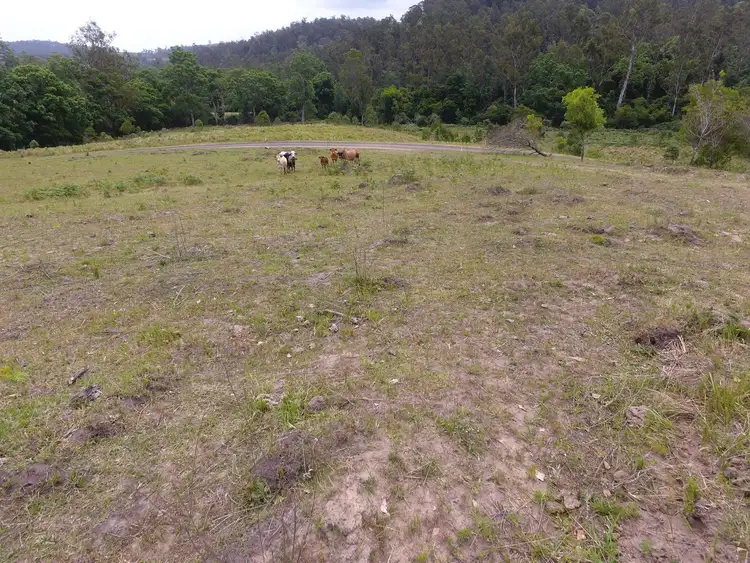 Fourth view of Homely rural property listing, Lot 171 Peacock Creek Road, Bonalbo NSW 2469