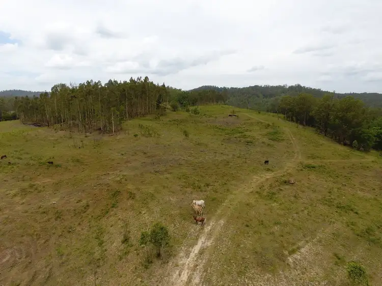 Fifth view of Homely rural property listing, Lot 171 Peacock Creek Road, Bonalbo NSW 2469