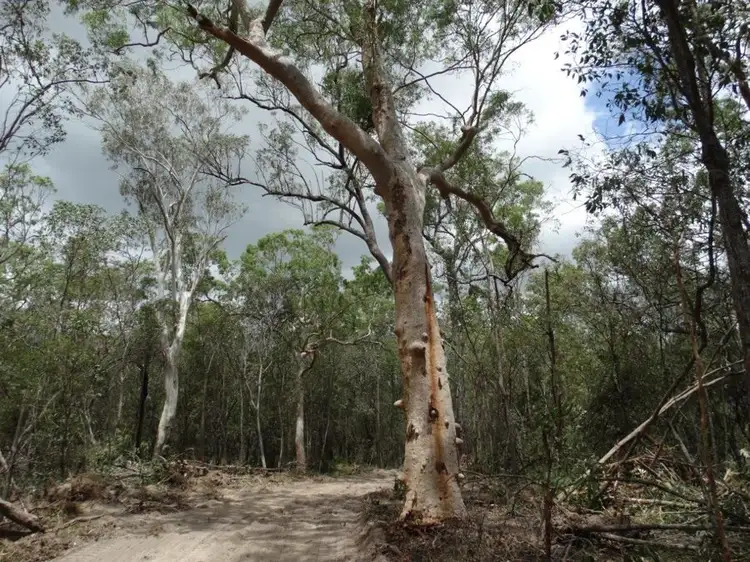 Lot 74 Mitchell Road, Mount Maria QLD 4674