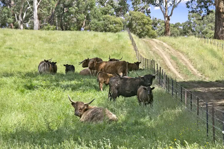 Fourth view of Homely rural property listing, 355 Pennyroyal-Wymbodiel Road, Pennyroyal VIC 3235