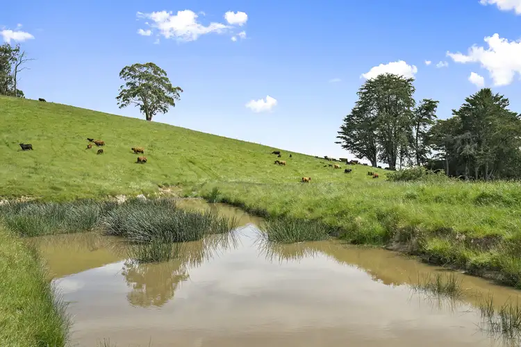 Fifth view of Homely rural property listing, 355 Pennyroyal-Wymbodiel Road, Pennyroyal VIC 3235