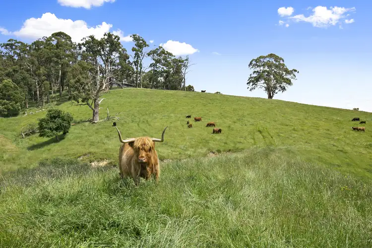 Sixth view of Homely rural property listing, 355 Pennyroyal-Wymbodiel Road, Pennyroyal VIC 3235