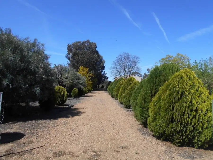 Main view of Homely land listing, 20 Alexander Ave, Berrigan NSW 2712