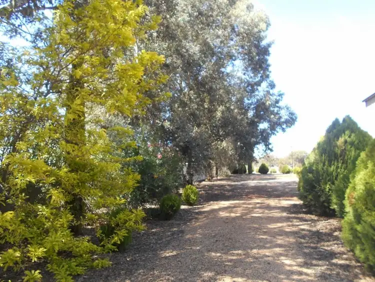 Second view of Homely land listing, 20 Alexander Ave, Berrigan NSW 2712