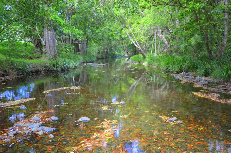 Second view of Homely house listing, 50 Kennedy Road, Conondale QLD 4552