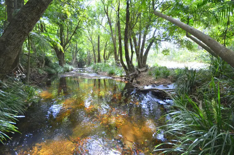 Fourth view of Homely house listing, 50 Kennedy Road, Conondale QLD 4552