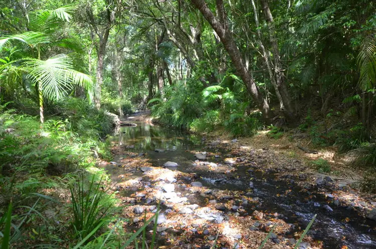 Fifth view of Homely house listing, 50 Kennedy Road, Conondale QLD 4552