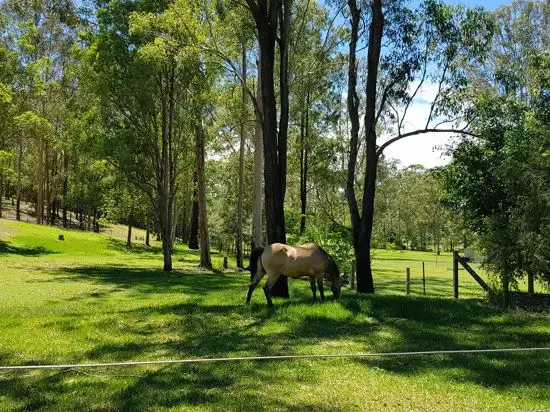 Fifth view of Homely rural property listing, 32 Wingara Drive, Morayfield QLD 4506