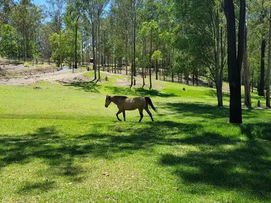 Sixth view of Homely rural property listing, 32 Wingara Drive, Morayfield QLD 4506
