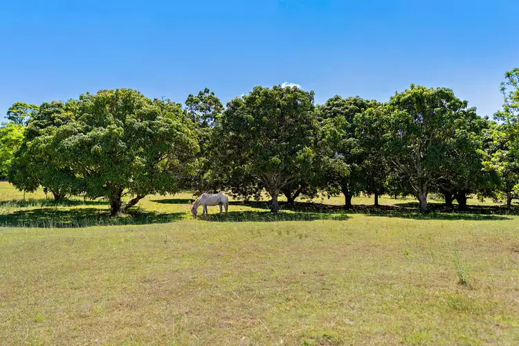 Fifth view of Homely rural property listing, 35 Mccullagh Crescent, Narangba QLD 4504