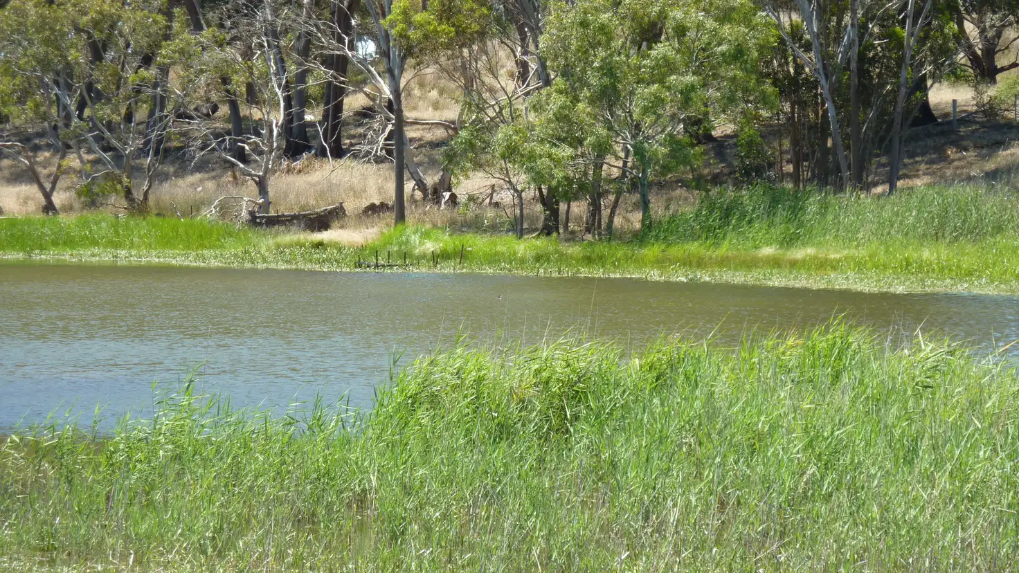 Main view of Homely rural property listing, 6639 Hamilton Highway, Cressy VIC 3322