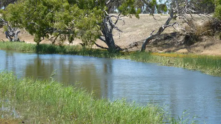 Second view of Homely rural property listing, 6639 Hamilton Highway, Cressy VIC 3322
