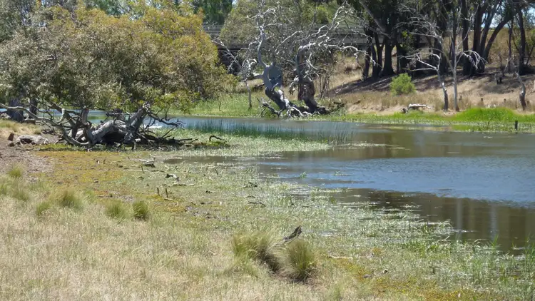 Fourth view of Homely rural property listing, 6639 Hamilton Highway, Cressy VIC 3322