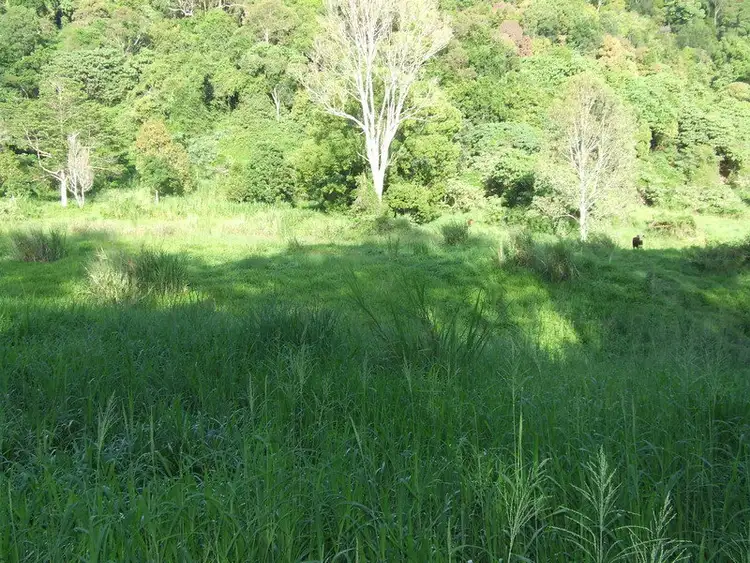 Sixth view of Homely house listing, 399 Perwillowen Road, Perwillowen QLD 4560