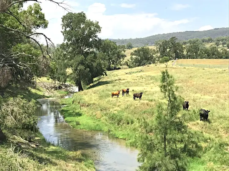 Second view of Homely rural property listing, 140 Ashwood Road, Scone NSW 2337