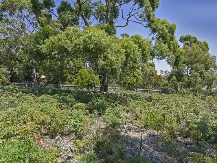 Third view of Homely land listing, 4 Lily Street, White Beach TAS 7184