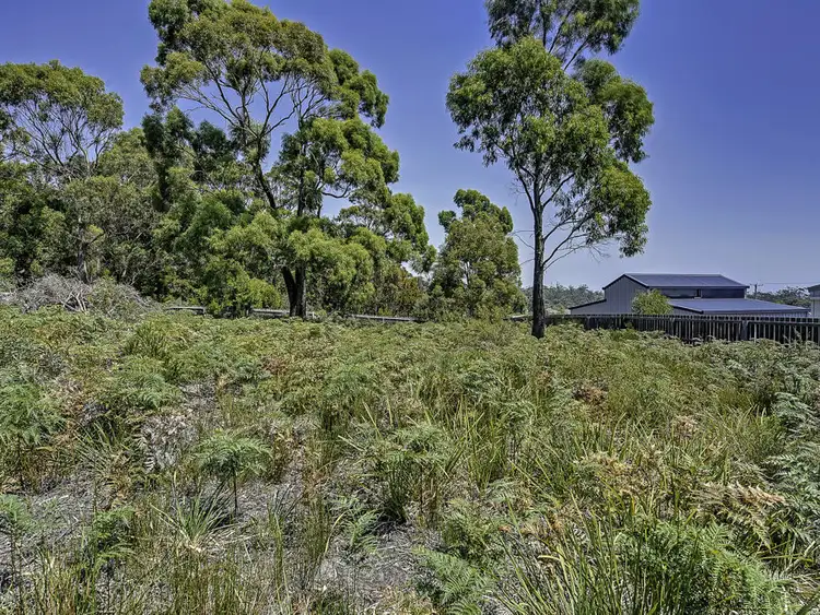 Fifth view of Homely land listing, 4 Lily Street, White Beach TAS 7184