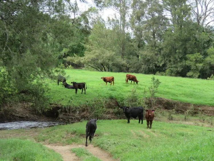 Second view of Homely rural property listing, Address available on request